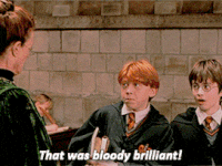 image.gif