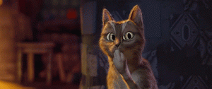 image.gif