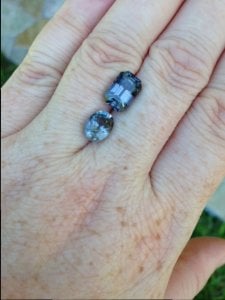 Grey spinels outside 1.JPG Grey spinels outside 1.JPG