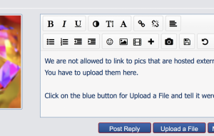 Screen Shot 2017-03-31 at 10.01.58 AM.png