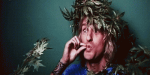 image.gif