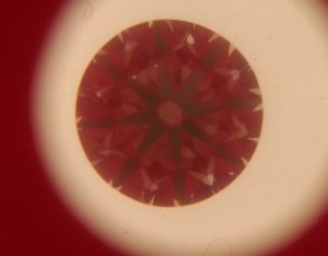 8899152-Idealscope Image.jpg