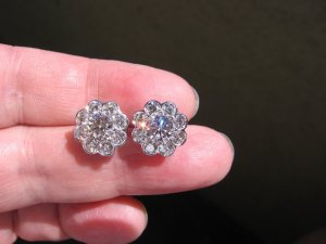 IMG_2722.JPG