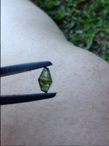 Aussie sapphire striped 1.JPG
