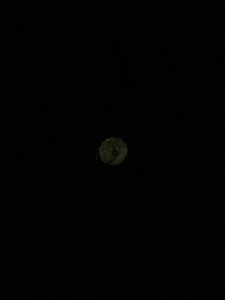 IMG_0934.JPG
