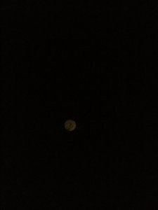 IMG_0945.JPG