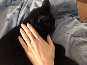 handsonfrancesca.jpg