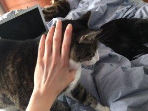 handsonbobby.jpg