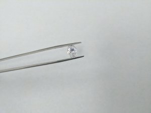 IMG_20170413_094527.jpg