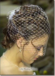birdcageveil.jpg