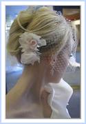 birdcage 1.jpg