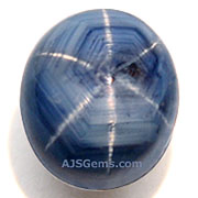 SST-00091-l.jpg