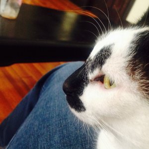 image.jpeg