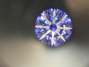 IMG_3006.JPG