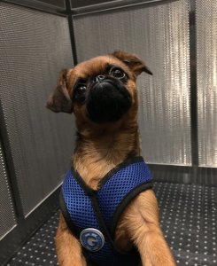 FrancesElevator.jpg