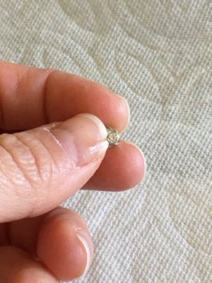 UNADJUSTEDNONRAW_thumb_a457.jpg UNADJUSTEDNONRAW_thumb_a457.jpg