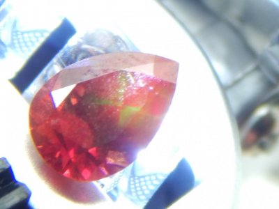 DSCN0441.JPG