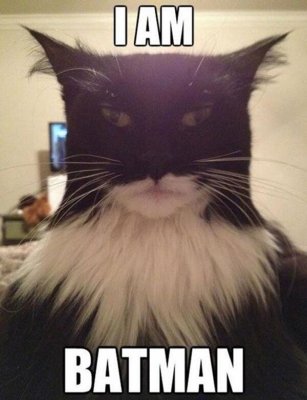 Batman.jpg