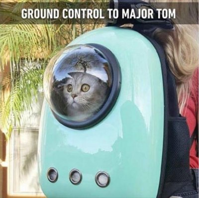 Major Tom.jpg
