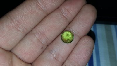 20170526_033405.jpg