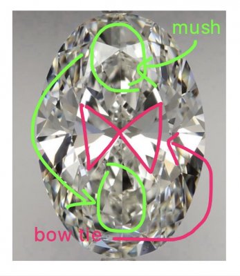 2.82_Oval_bowtie_mush.jpg