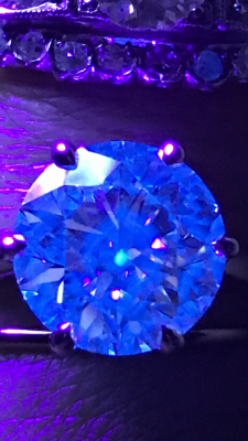 IMG_5240.PNG