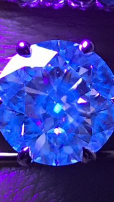IMG_5241.PNG