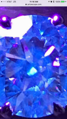 IMG_5347.PNG