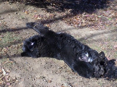 Griffin112013.jpg