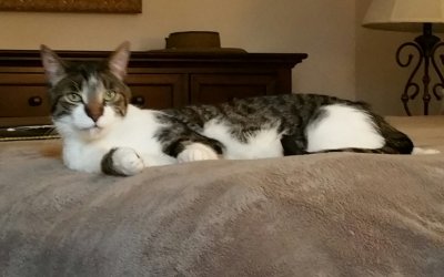 20170605_141800.jpg