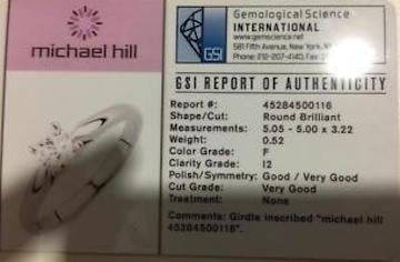 MichaelHill GSI3.jpg
