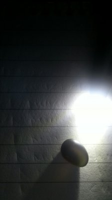 wx_camera_1494298915347.jpg