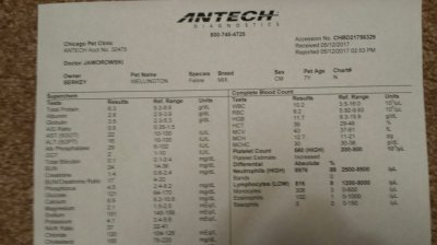 20170619_213654_resized.jpg