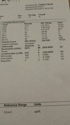 20170619_213759_resized.jpg