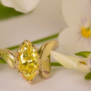 Img1703-Yellow-Marquse.jpg