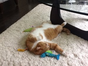 IMG_0130.JPG