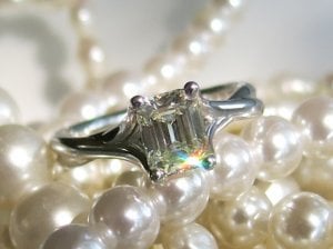 IMG_2804.JPG