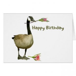 canada_goose_with_rose_birthday.jpg