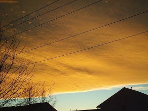 IMG_1621.JPG