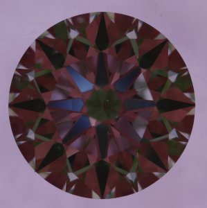 9087509 ASET Image.jpg