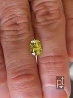 peteryellowsapphire1.jpg peteryellowsapphire1.jpg