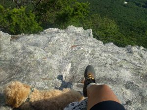 IMG_20170701_174814.jpg