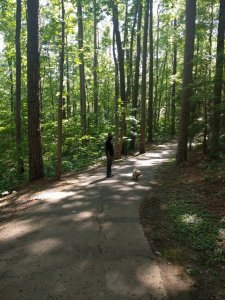 IMG_20170514_160137.jpg