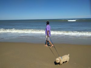 IMG_20170502_154639.jpg