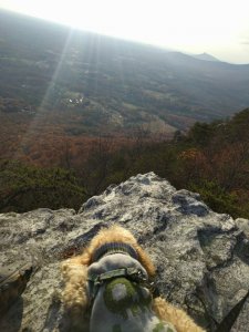 IMG_20161125_154109.jpg