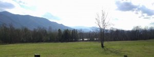 IMG_20170201_152303.jpg
