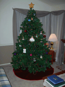 DSCN0293.gif