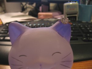 E-ring photos 030.jpg