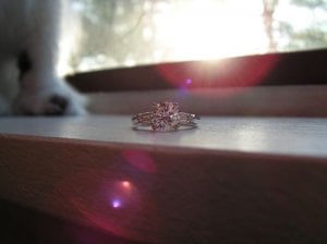 New Ring PICT0398a.jpg