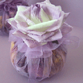 flowersachetforwebthumb.gif